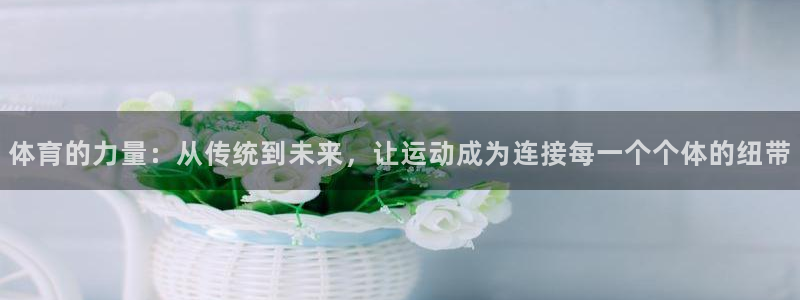 速球体育正规不：体育的力量：从传统到未来，让运动成为连接每一个个体的纽带