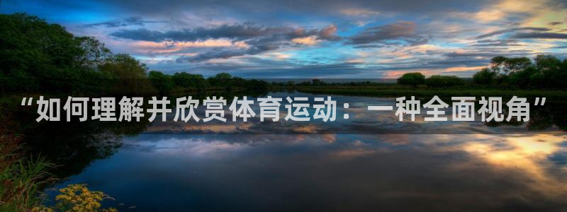 速球体育官网入口：“如何理解并欣赏体育运动：一种全面视角”
