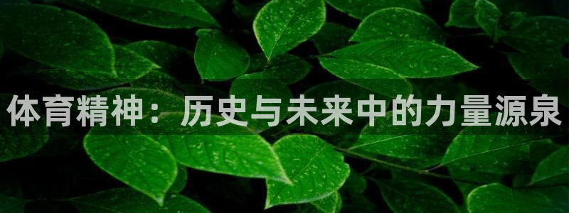 速球体育app官网入口：体育精神：历史与未来中的力量源泉