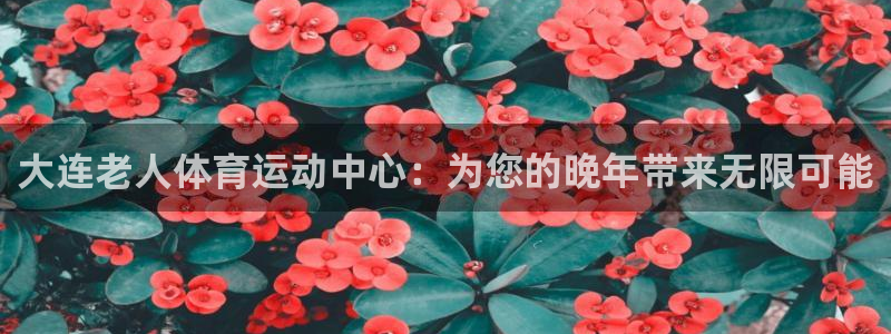 速球体育官网下载：大连老人体育运动中心：为您的晚年带来无限可能