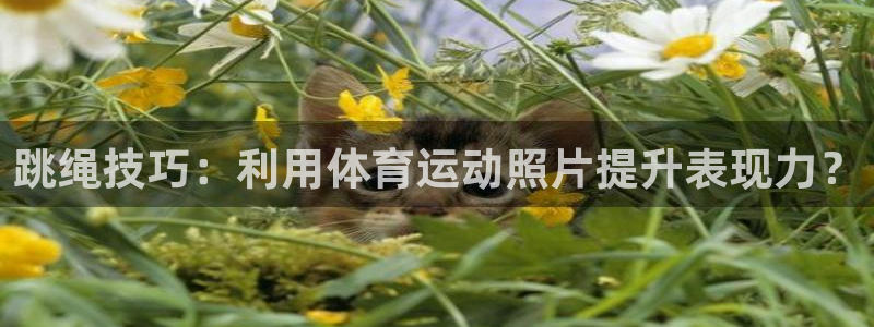 速球体育：跳绳技巧：利用体育运动照片提升表现力？