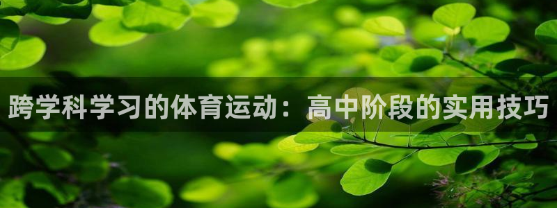 速球体育可以玩吗：跨学科学习的体育运动：高中阶段的实用技巧