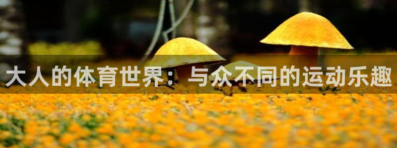 速球体育官网下载：大人的体育世界：与众不同的运动乐趣
